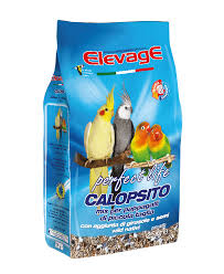 Calopsito 2.5 kg elevage