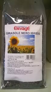 Girasole nero 1 kg elevage