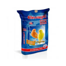 Canarini sicilia 20 kg elevage