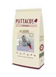 Psittacus alta energia