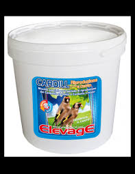 Cerdellino riproduzione e canto 5 kg elevage